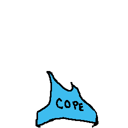 Base