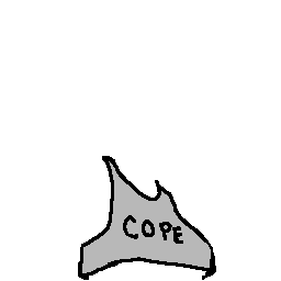 Base