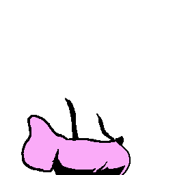Base
